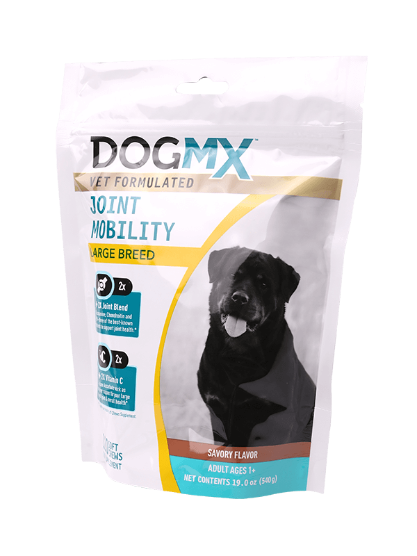 지퍼 파우치가 있는 방습 플라스틱 포장 백