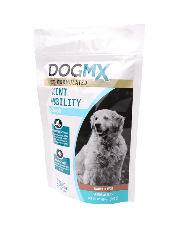 주문 애완 동물은 패킹을 위한 다른 작풍 방수 resealable 비닐 봉투를 자루에 넣습니다